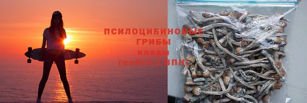 ECSTASY Богородицк