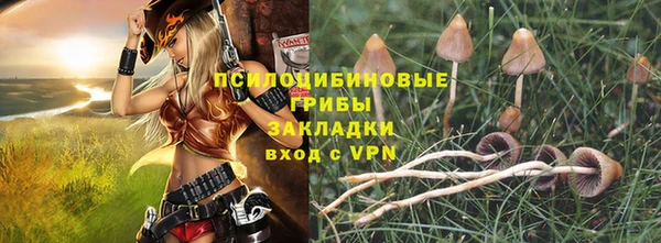 прущая мука Арсеньев