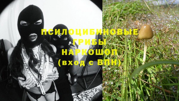ECSTASY Богородицк